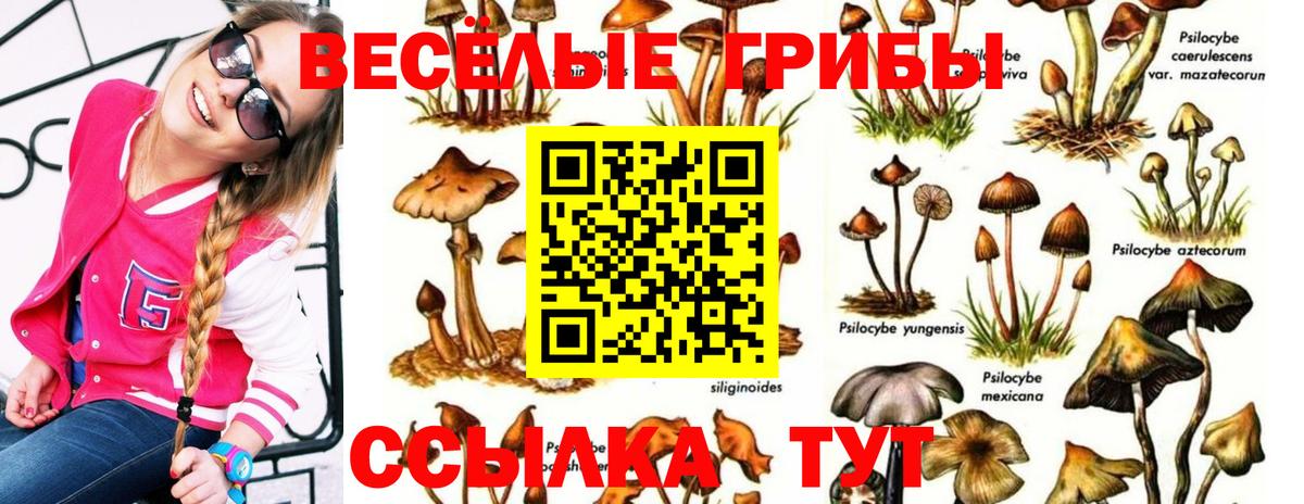 Балашиха  Псилоцибиновые грибы Magic Shrooms  Вход с VPN 