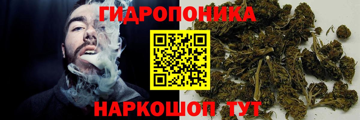 Шишки марихуана марихуана  Вход с VPN  Бошки Шишки конопля  Балашиха  Марихуана OG Kush 